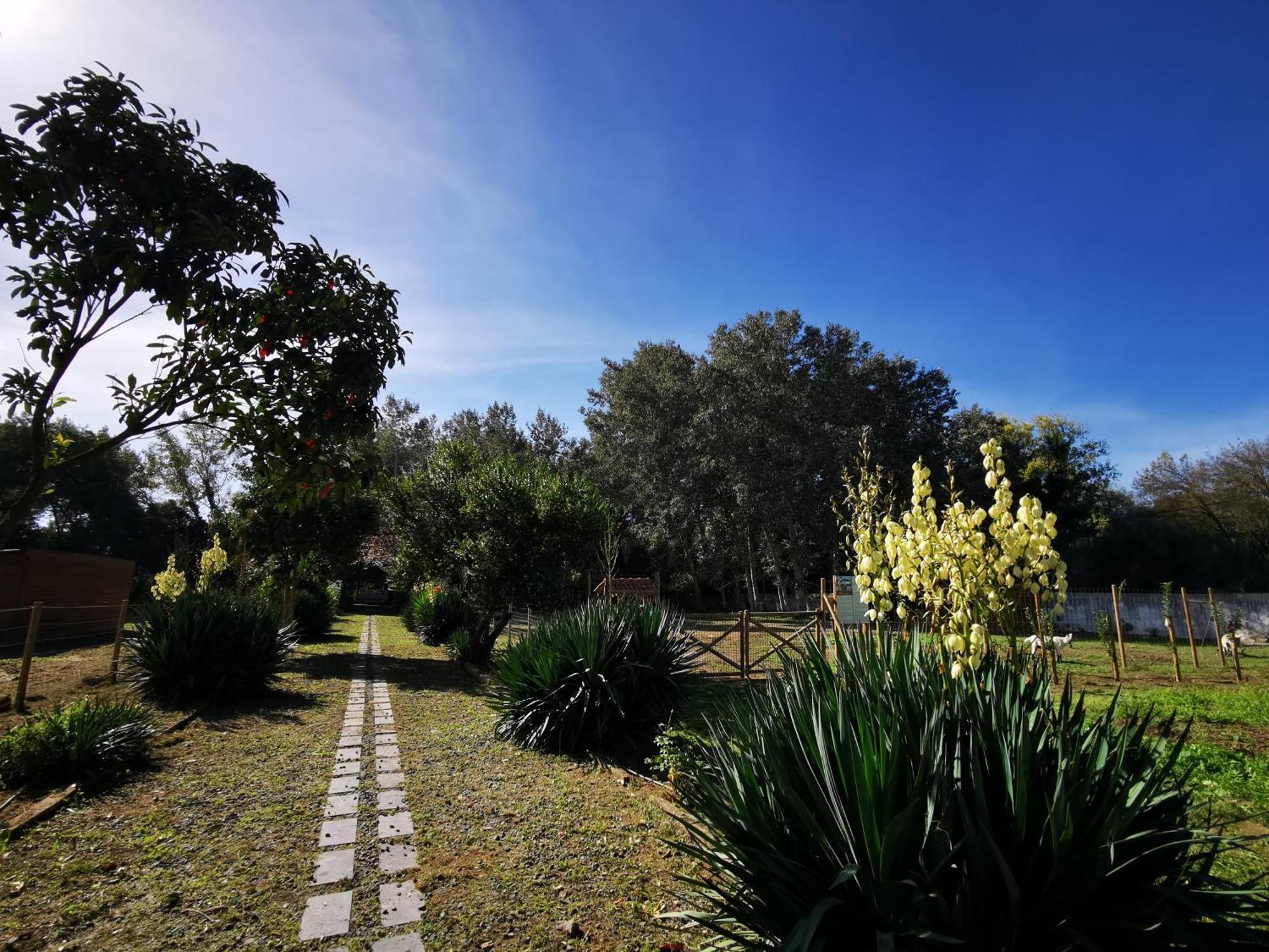 Quinta Do Louredo - Evora Évora Exterior foto